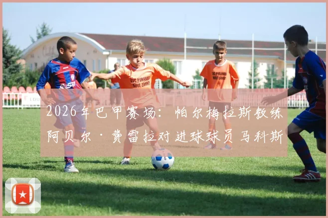 2026年巴甲赛场：帕尔梅拉斯教练阿贝尔·费雷拉对进球球员马科斯·罗查竖中指真相，揭秘足坛另类亲密互动