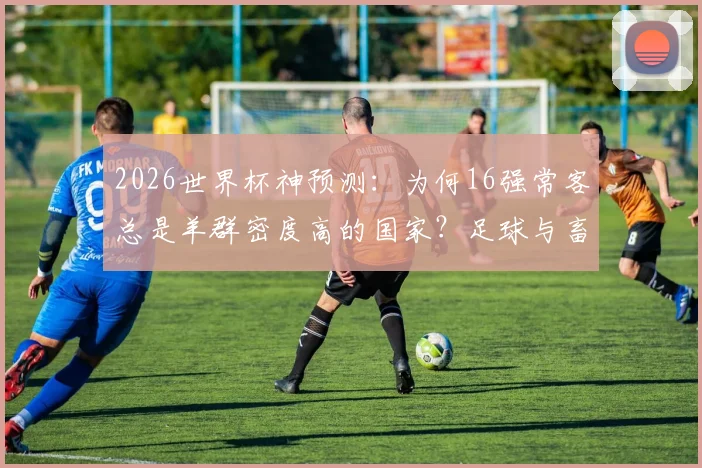 2026世界杯神预测：为何16强常客总是羊群密度高的国家？足球与畜牧业的隐秘关联深度解读